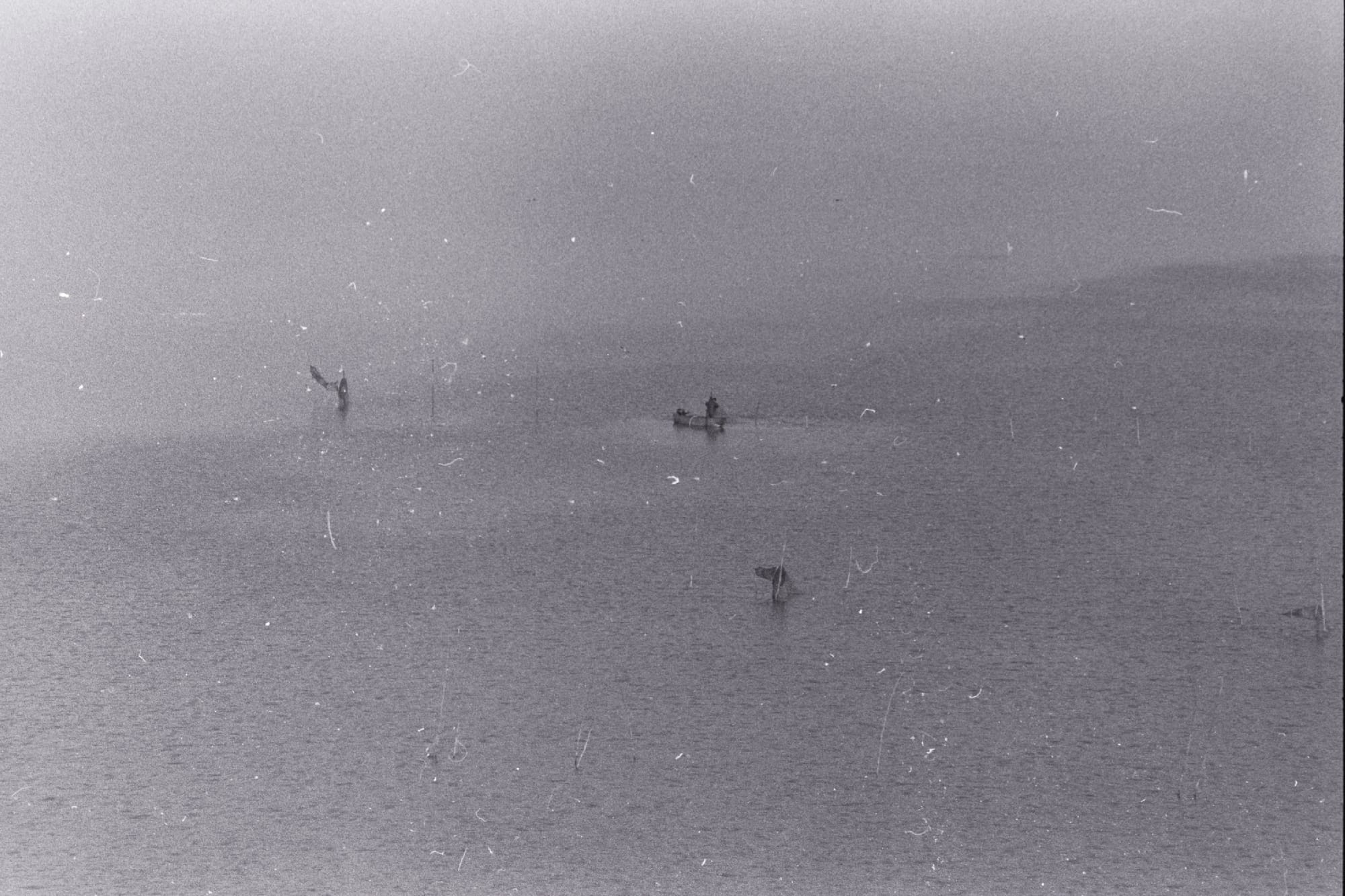 Analog Shots