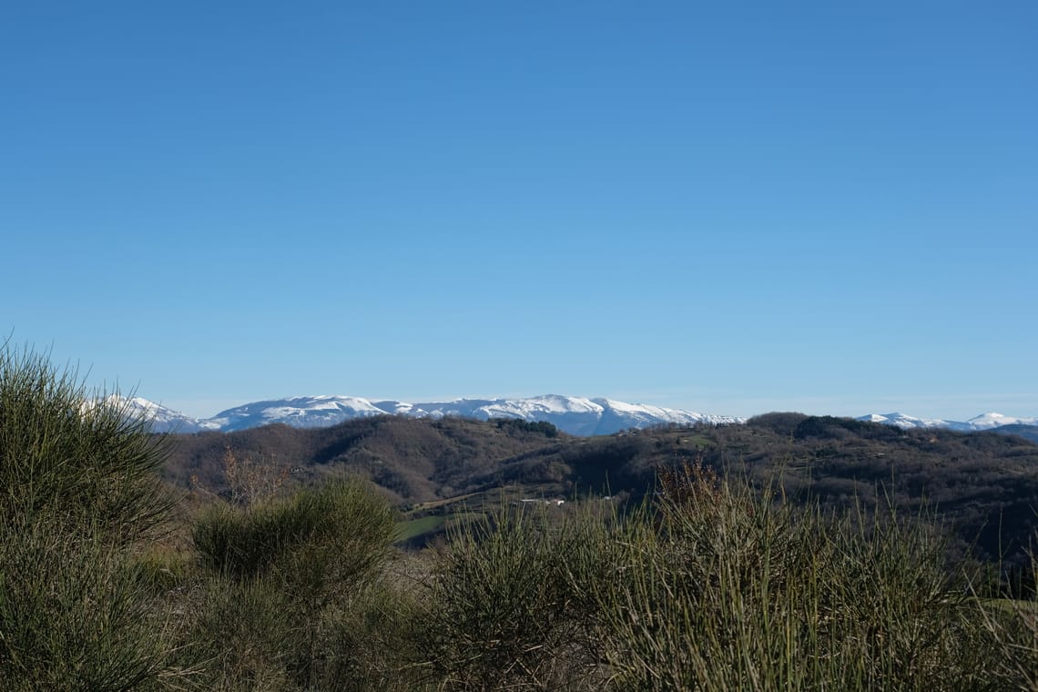 Sugar on the hills