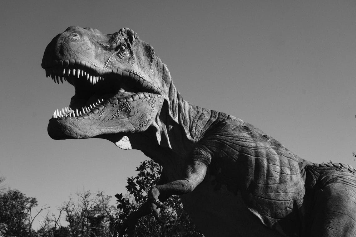 Dinosaurs if black and white photography existed