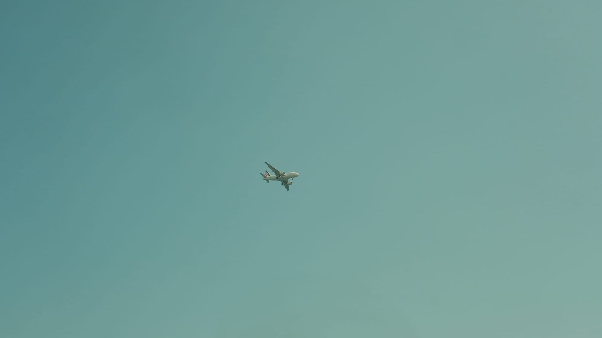 Some pictures of the sky with a plane or a bird