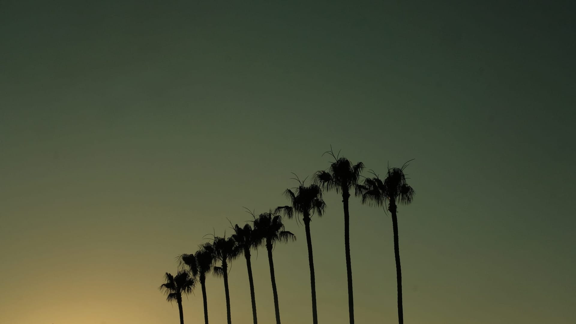 Good things to see in Cannes