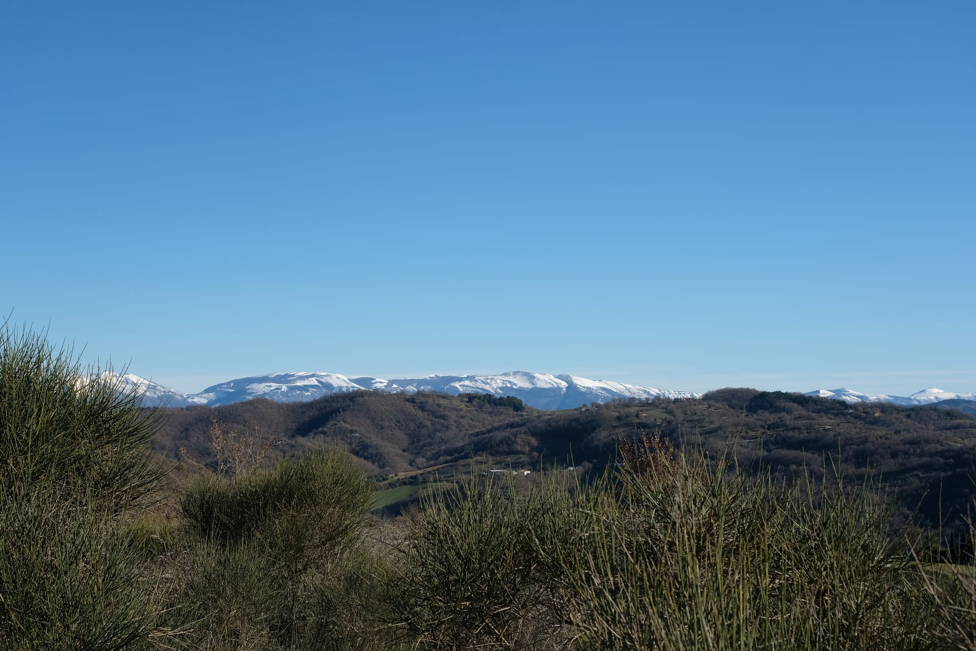 Sugar on the hills